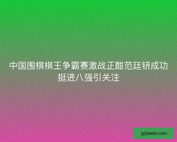 中国围棋棋王争霸赛激战正酣范廷钘成功挺进八强引关注