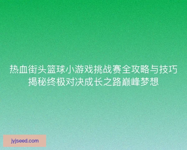 热血街头篮球小游戏挑战赛全攻略与技巧揭秘终极对决成长之路巅峰梦想